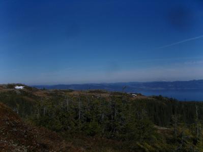 post-6789-0-78648700-1398619647_thumb.jp