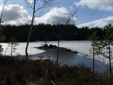 post-6789-0-82789900-1397845194_thumb.jp