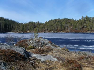 post-6789-0-82832300-1398620384_thumb.jp