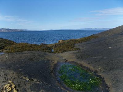 post-6789-0-84419900-1398067999_thumb.jp