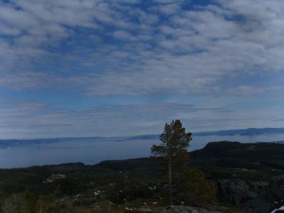 post-6789-0-88113200-1398085999_thumb.jp