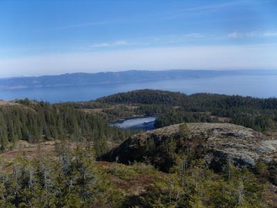 post-6789-0-88138400-1398619799_thumb.jp