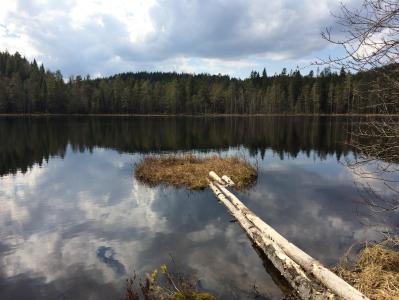 post-7901-0-50659600-1398020641_thumb.jp