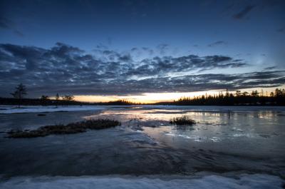 post-7957-0-70219500-1398500143_thumb.jp