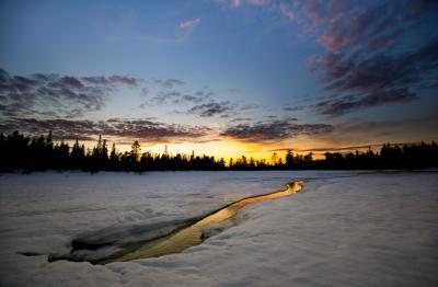 post-7957-0-71304900-1398460110_thumb.jp