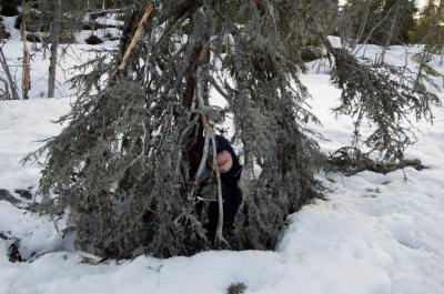 post-7957-0-82227300-1397927724_thumb.jp