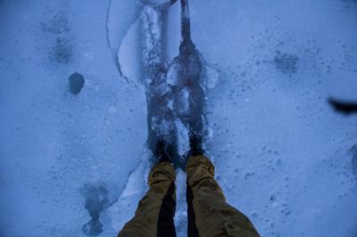 post-7957-0-99143000-1398500154_thumb.jp