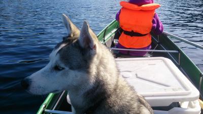 post-8488-0-94114500-1398102146_thumb.jp