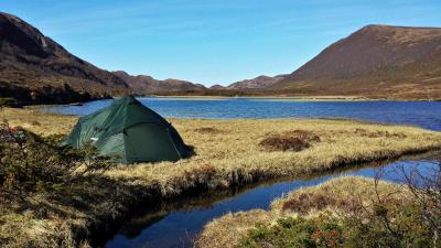 post-8967-0-66614500-1398108110_thumb.jp