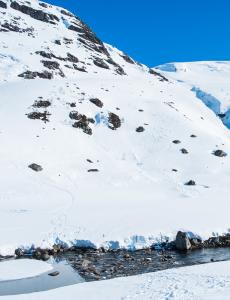 post-13206-0-11818000-1430209163_thumb.j