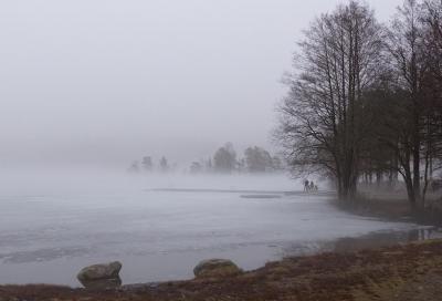 post-13572-0-17660100-1428788158_thumb.j