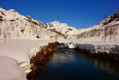 post-14504-0-38784300-1430163266_thumb.j