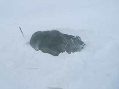 post-1466-0-00891900-1430241581_thumb.jp