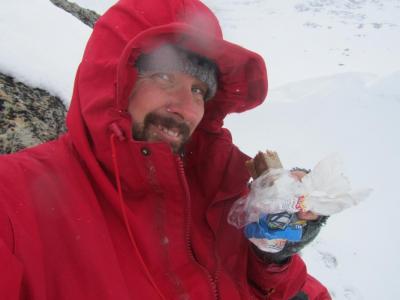 post-1466-0-09779600-1430240731_thumb.jp