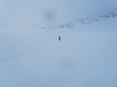 post-1466-0-10242600-1430240432_thumb.jp