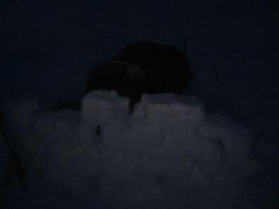 post-1466-0-31246800-1430240923_thumb.jp