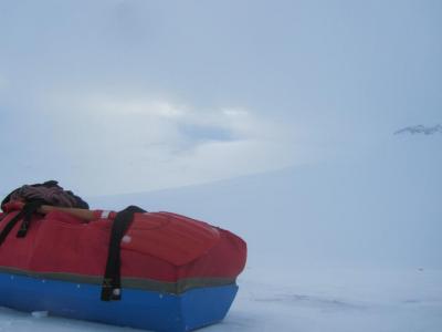 post-1466-0-33695400-1430240803_thumb.jp