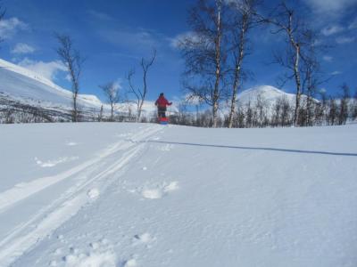 post-1466-0-55107600-1430238932_thumb.jp