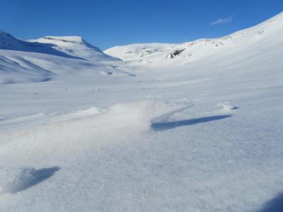 post-1466-0-65778100-1430239062_thumb.jp