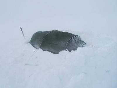 post-1466-0-95691900-1429645387_thumb.jp