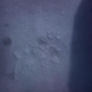 post-14911-0-51812100-1428423693_thumb.j