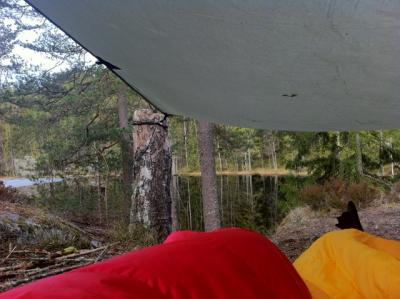 post-15509-0-80614300-1429515096_thumb.j