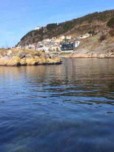 post-15991-0-33082200-1429456368_thumb.j