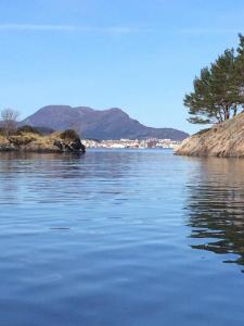 post-15991-0-40402300-1429456337_thumb.j