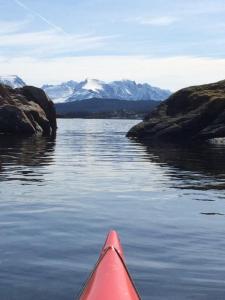 post-15991-0-52339300-1429456481_thumb.j