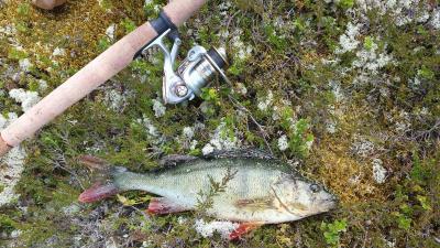 post-16334-0-02875500-1428004678_thumb.j