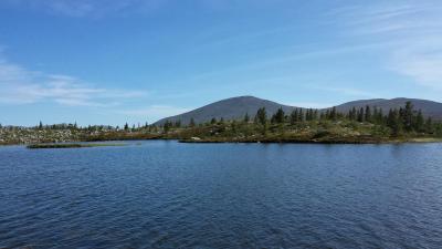 post-16334-0-04154400-1428003706_thumb.j