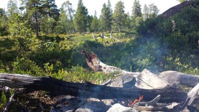 post-16334-0-04642500-1428003344_thumb.j