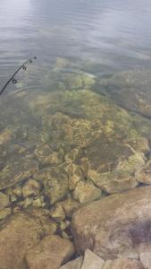 post-16334-0-06972700-1428691883_thumb.j