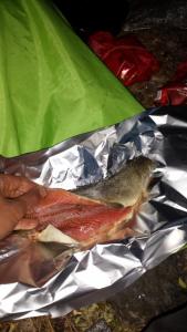 post-16334-0-11639100-1428695749_thumb.j