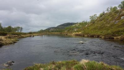 post-16334-0-12825000-1428691351_thumb.j