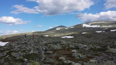 post-16334-0-13969700-1428697213_thumb.j