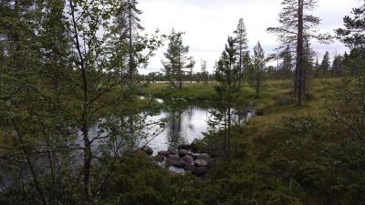 post-16334-0-19555100-1428040428_thumb.j