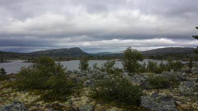 post-16334-0-23539300-1428043111_thumb.j