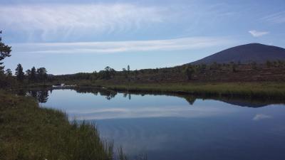 post-16334-0-24698600-1428002991_thumb.j