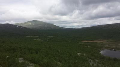 post-16334-0-25008800-1428697298_thumb.j