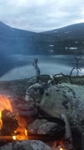 post-16334-0-25984400-1428697282_thumb.j