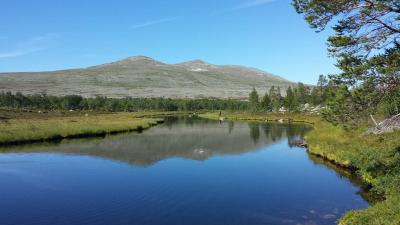 post-16334-0-28268300-1428002956_thumb.j