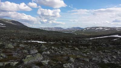 post-16334-0-31098300-1428696049_thumb.j