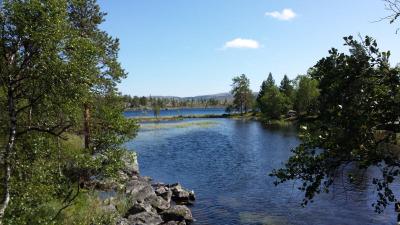 post-16334-0-33713600-1428040646_thumb.j