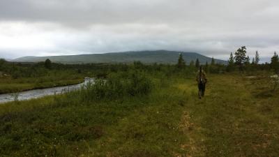 post-16334-0-47663600-1428002449_thumb.j