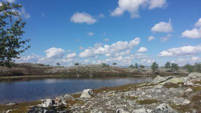 post-16334-0-50548900-1428695911_thumb.j