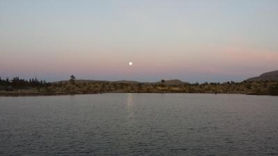 post-16334-0-56895300-1428004434_thumb.j