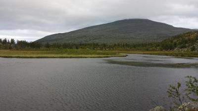 post-16334-0-57462100-1428002407_thumb.j