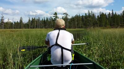 post-16334-0-65640800-1428005512_thumb.j