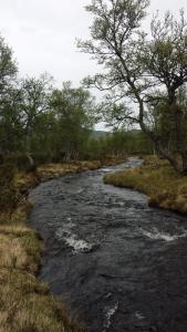 post-16334-0-72536900-1428691174_thumb.j